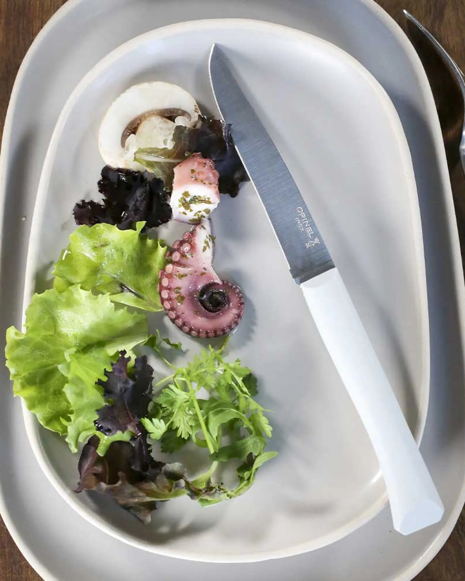 Coltello da tavola Opinel Bon Appétit+ da personalizzare - 1