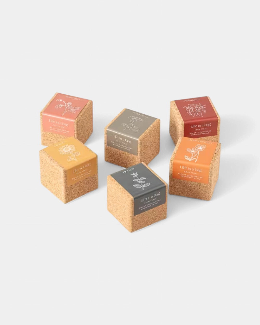 Grow cube personalizzabile - 3