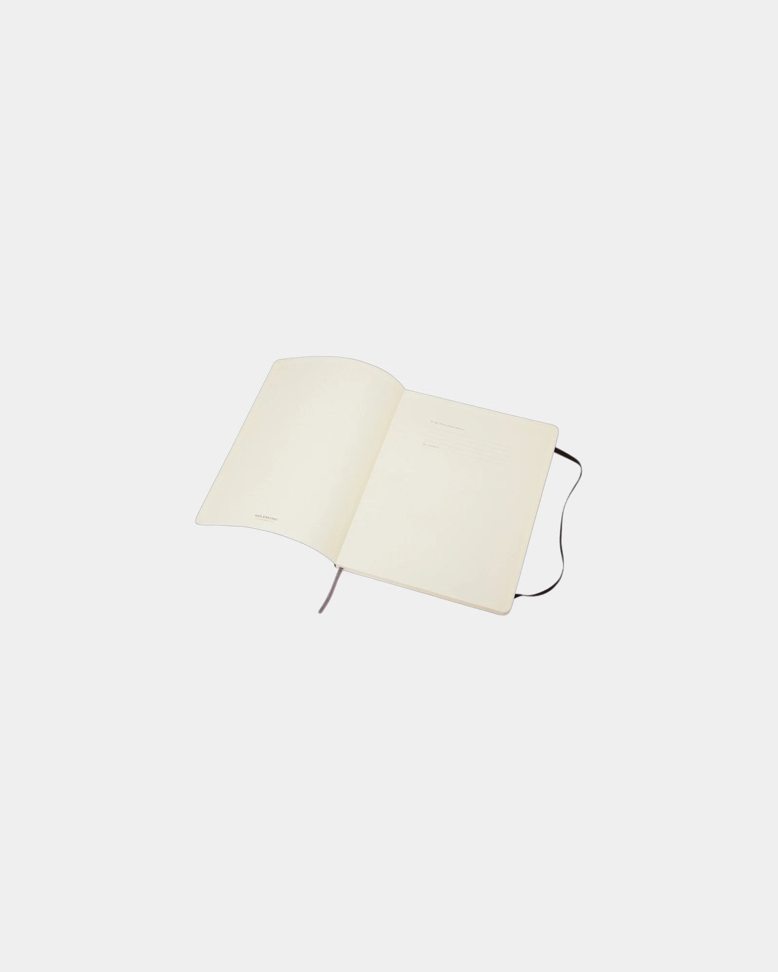 Taccuino Moleskine Classic XL righe da personalizzare - 3