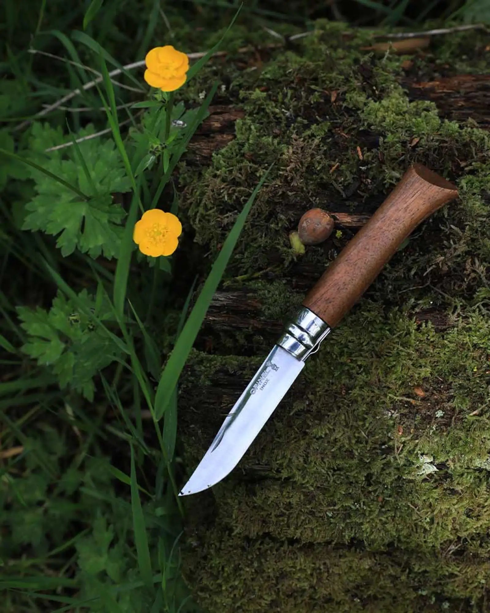 Coltello acciaio inox Opinel N°09 Quercia da personalizzare - 6