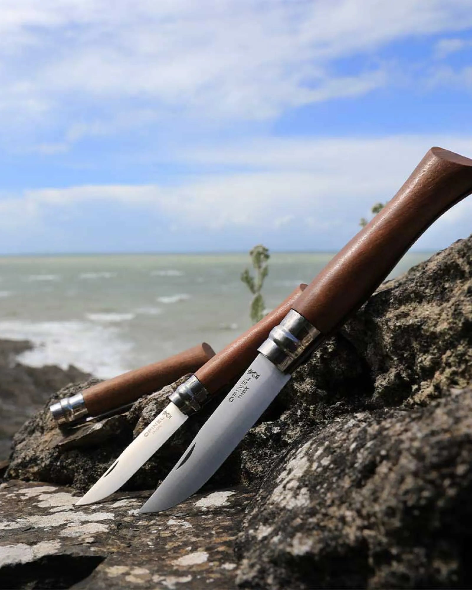 Coltello acciaio inox Opinel N°09 Quercia da personalizzare - 8