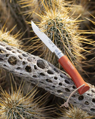 Coltello acciaio inox Opinel N°06 da personalizzare - 11