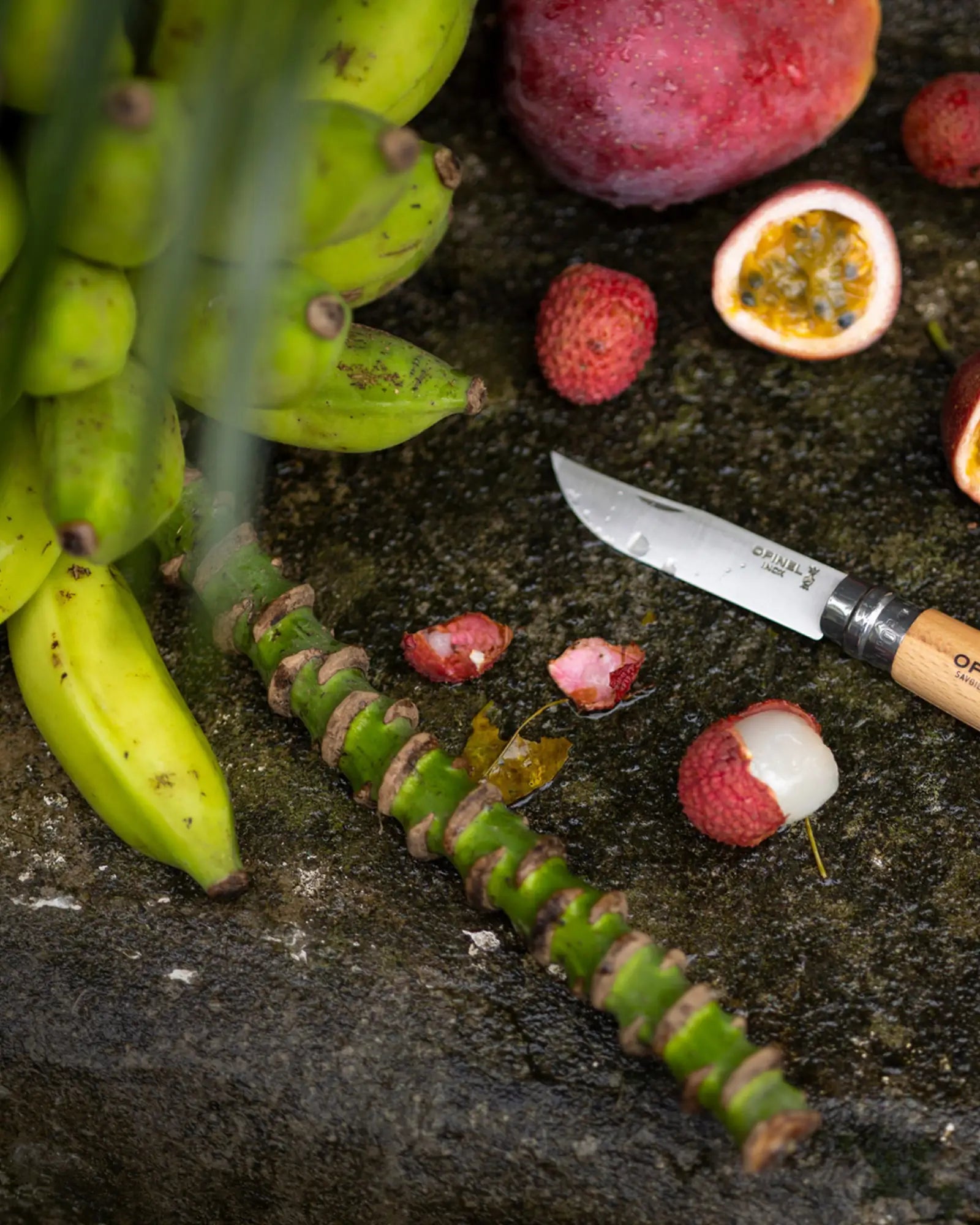 Coltello acciaio inox Opinel N°06 da personalizzare - 9
