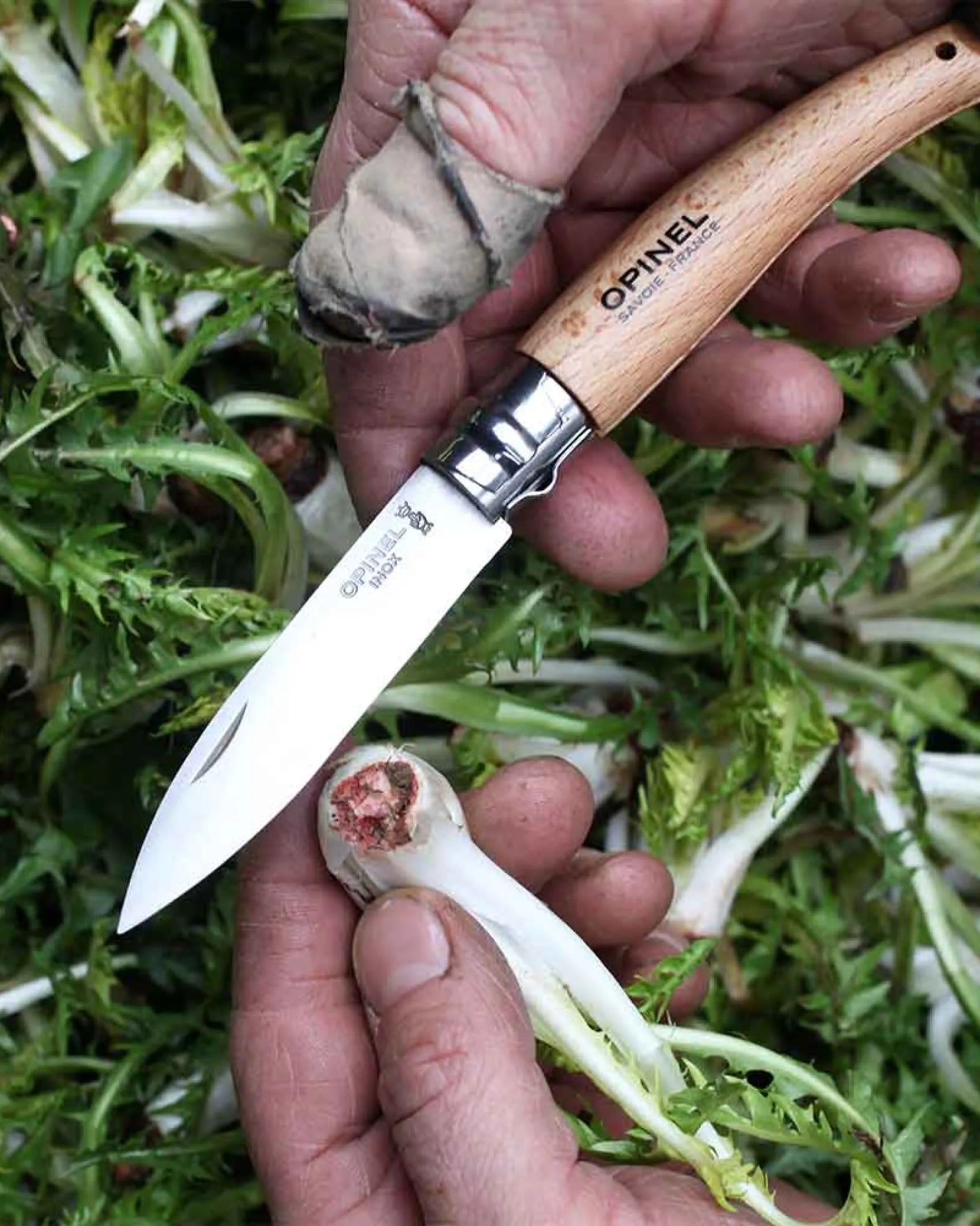 Coltello da giardino Opinel N°08 da personalizzare - 4