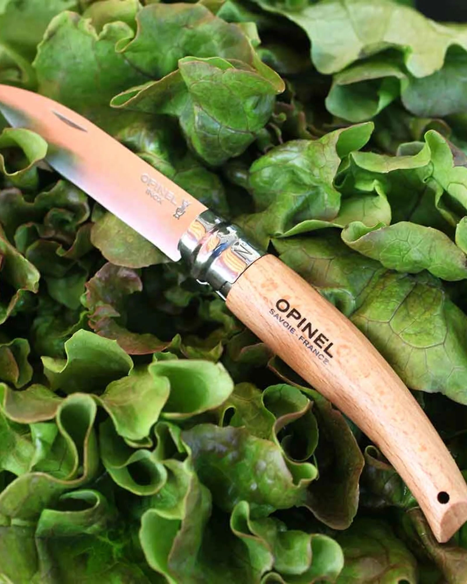 Coltello da giardino Opinel N°08 da personalizzare - 5