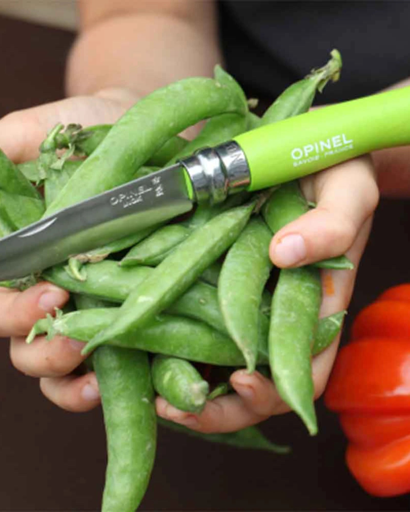 Coltello per bambini Opinel Mon Premier da personalizzare - 17