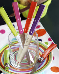 Set 4 coltelli da tavola Bon Appétit da personalizzare - 3