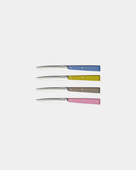 Cofanetto 4 coltelli Opinel N°125 da personalizzare - 1