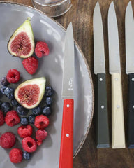Set 4 coltelli da tavola Bon Appétit da personalizzare - 2