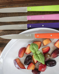 Coltello da tavola Opinel N°125 da personalizzare - 10