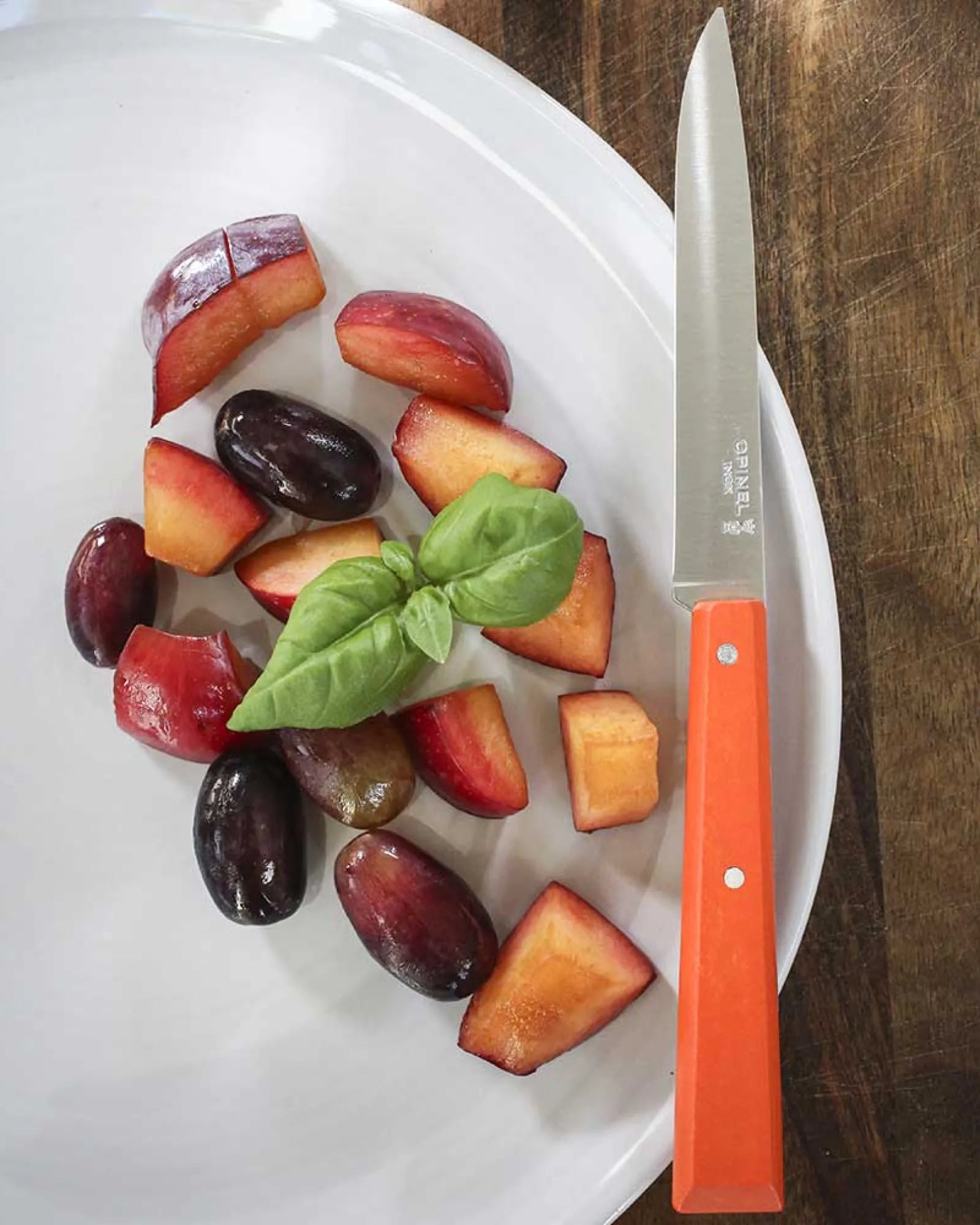 Coltello da tavola Opinel N°125 da personalizzare - 8