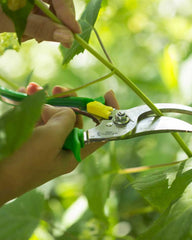 Cesoie da giardino acciaio Opinel Prairie da personalizzare - 8
