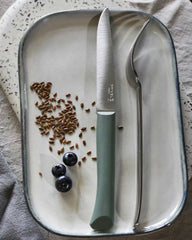 Coltello da tavola Opinel Bon Appétit+ da personalizzare - 12