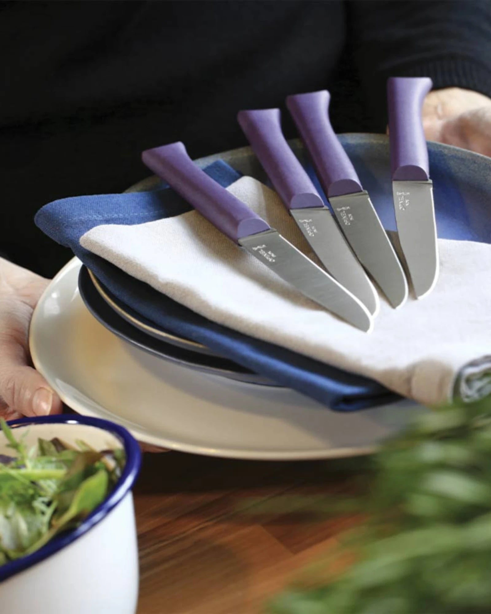 Coltello da tavola Opinel Bon Appétit+ da personalizzare - 11
