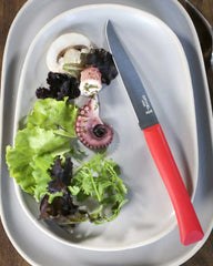 Coltello da tavola Opinel Bon Appétit+ da personalizzare - 7