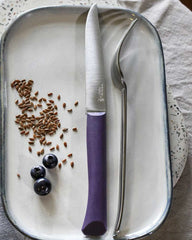 Coltello da tavola Opinel Bon Appétit+ da personalizzare - 10