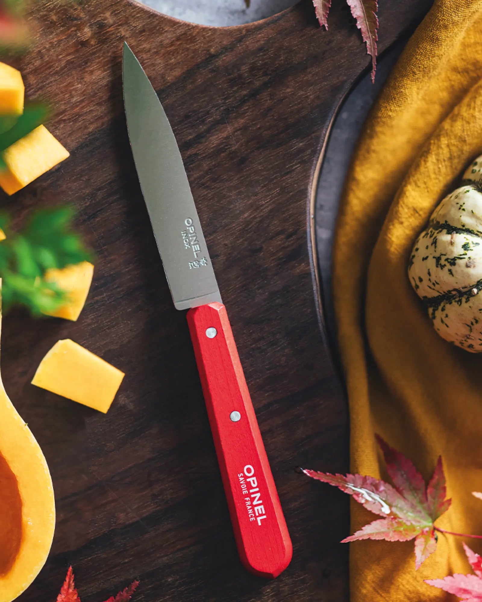 Coltello acciaio inox Opinel N°112 da personalizzare - 3