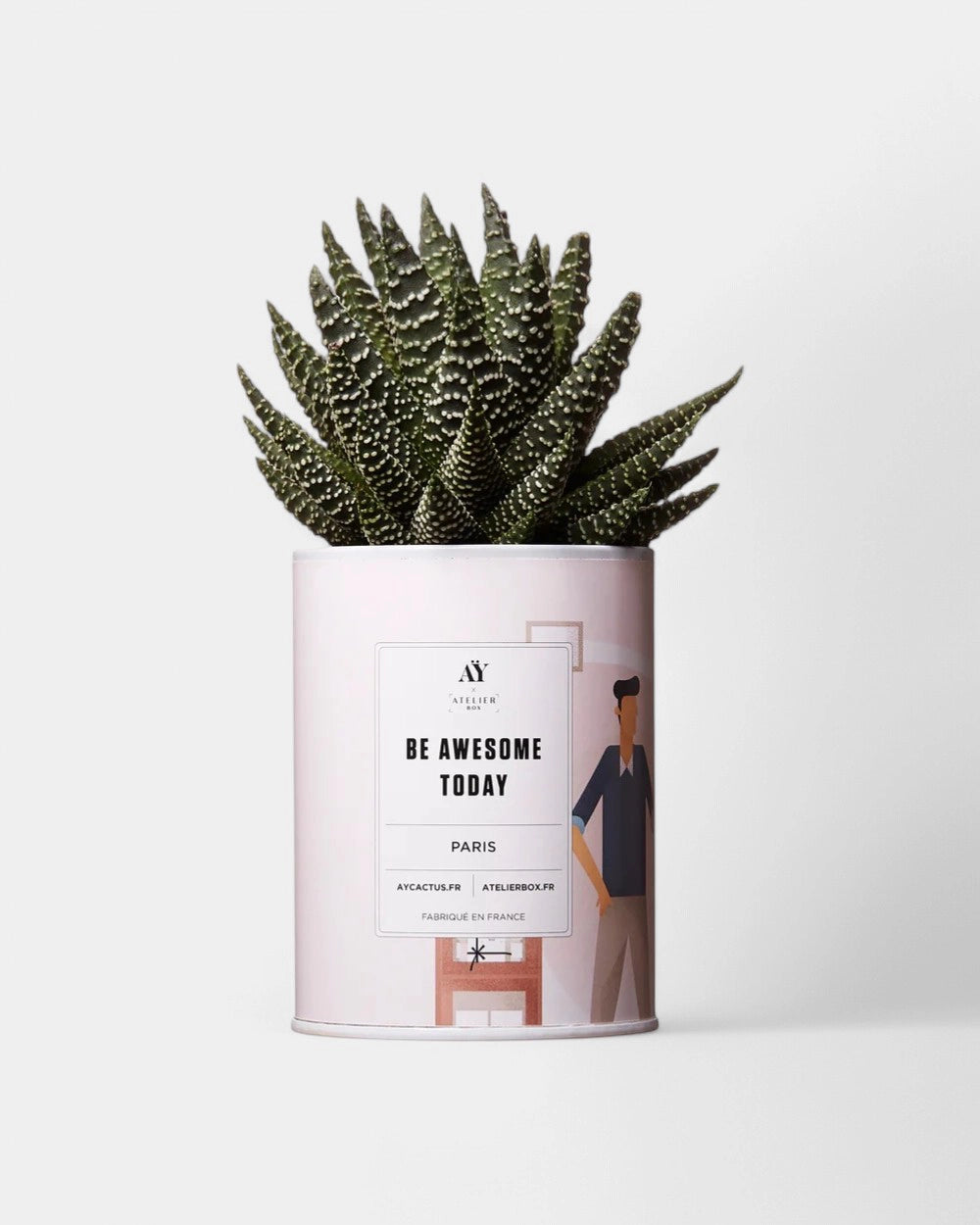 Cactus 100% Personalizzabile - Ay Cactus - 2