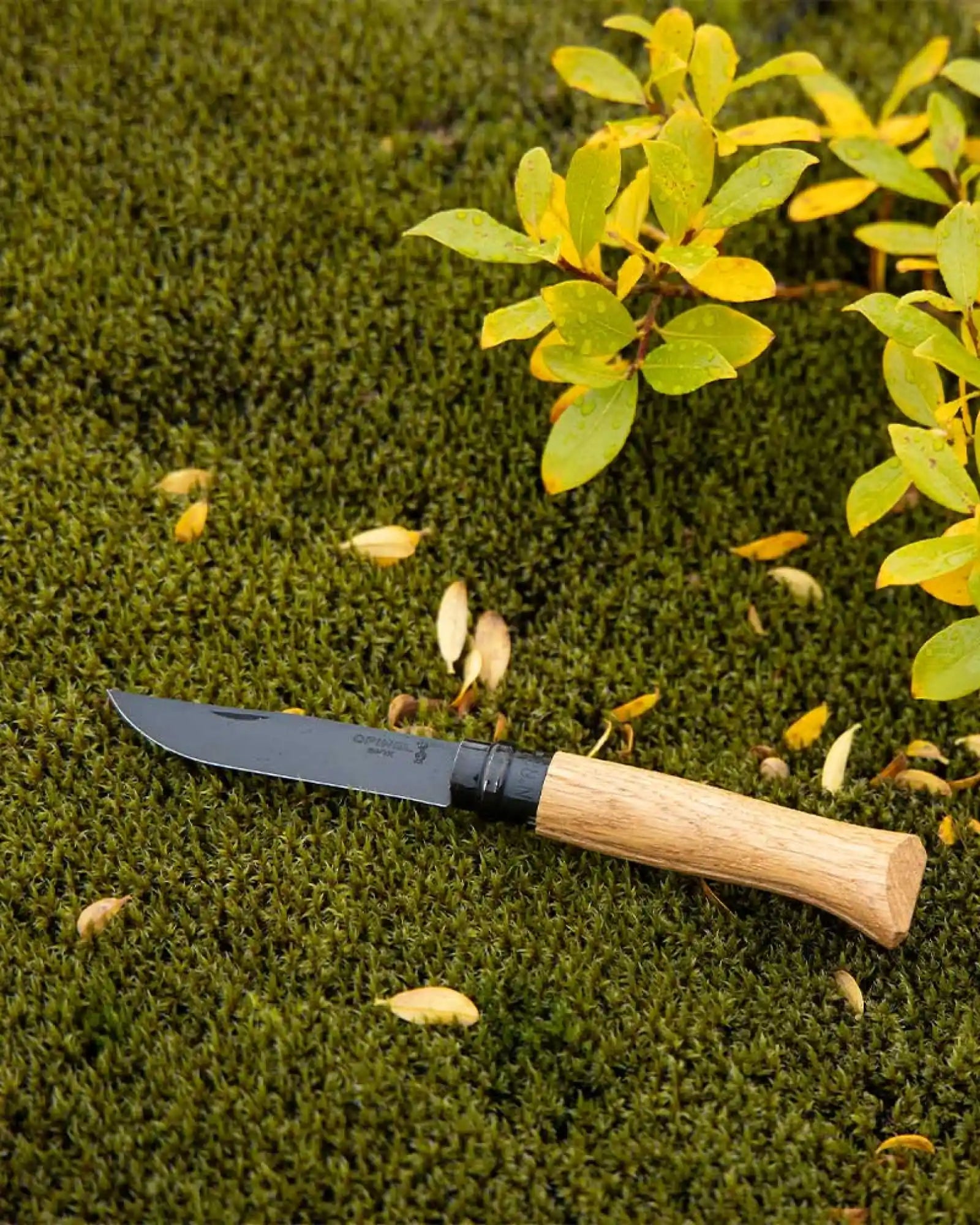 Coltello acciaio inox Opinel N°08 Quercia da personalizzare - 6