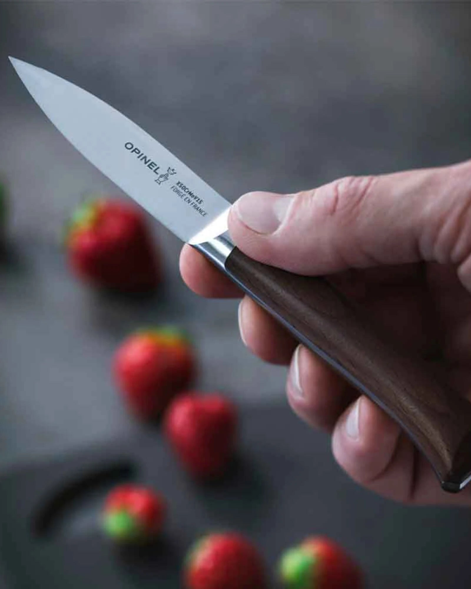 Coltello da cucina acciaio inox Forgés 1890 da personalizzare - 5