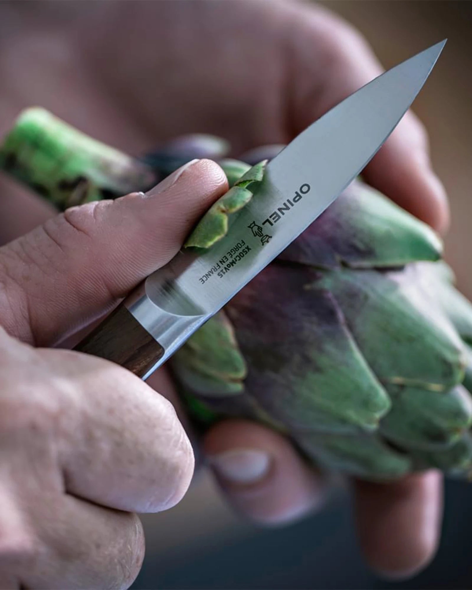 Coltello da cucina acciaio inox Forgés 1890 da personalizzare - 3