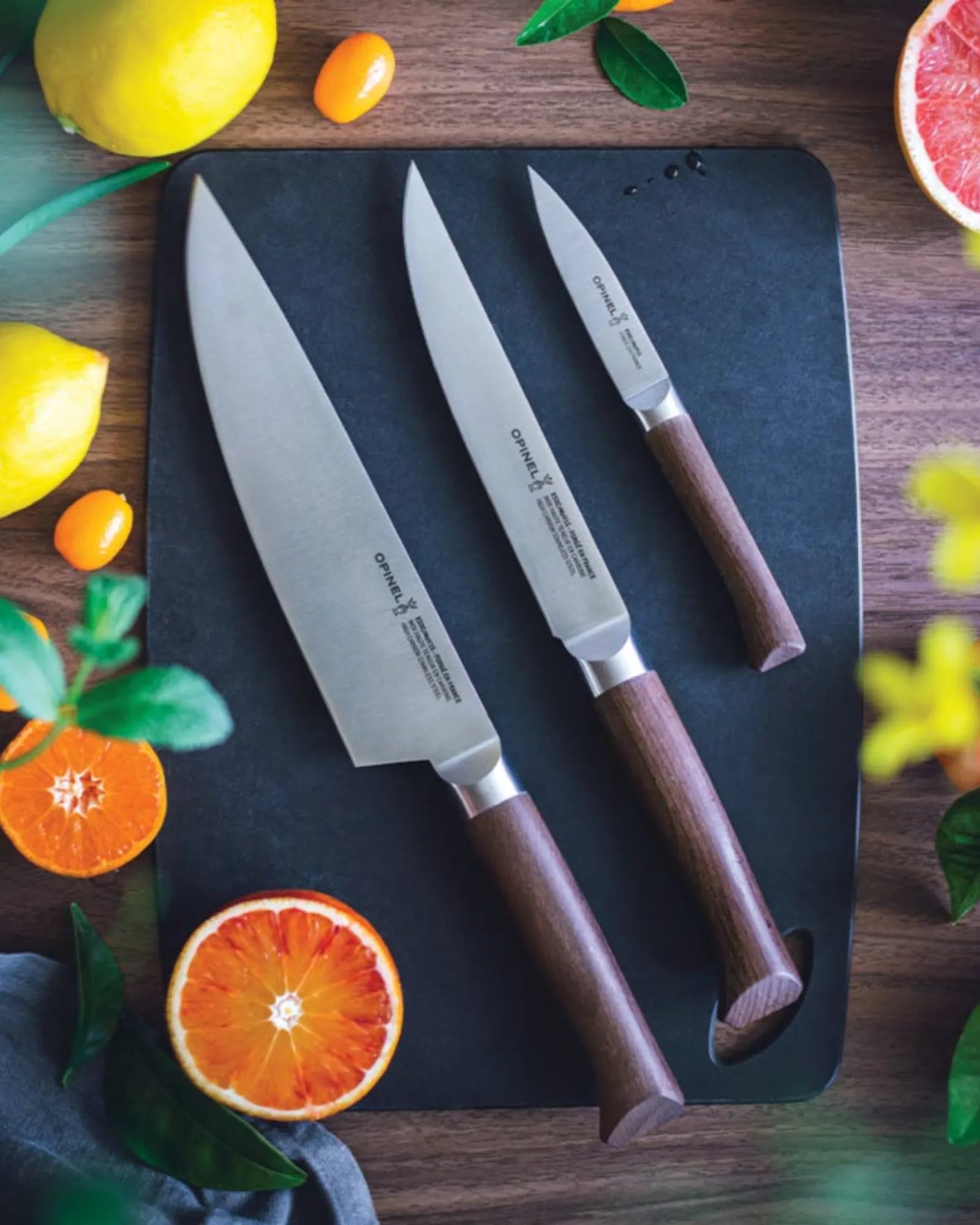 Set coltelli acciaio inox Forgés 1890 da personalizzare - 2
