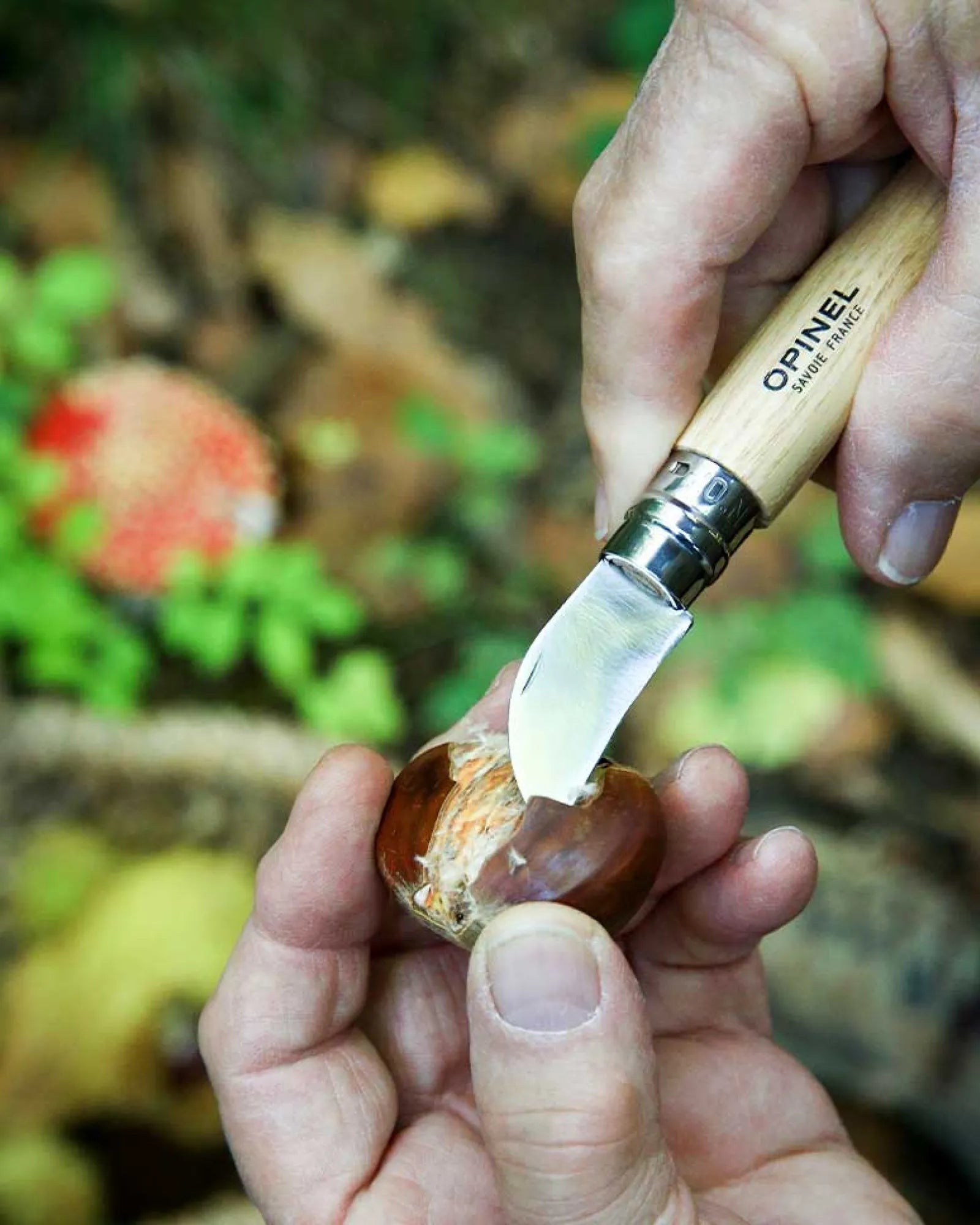 Coltello per castagne Opinel N°07 da personalizzare - 4