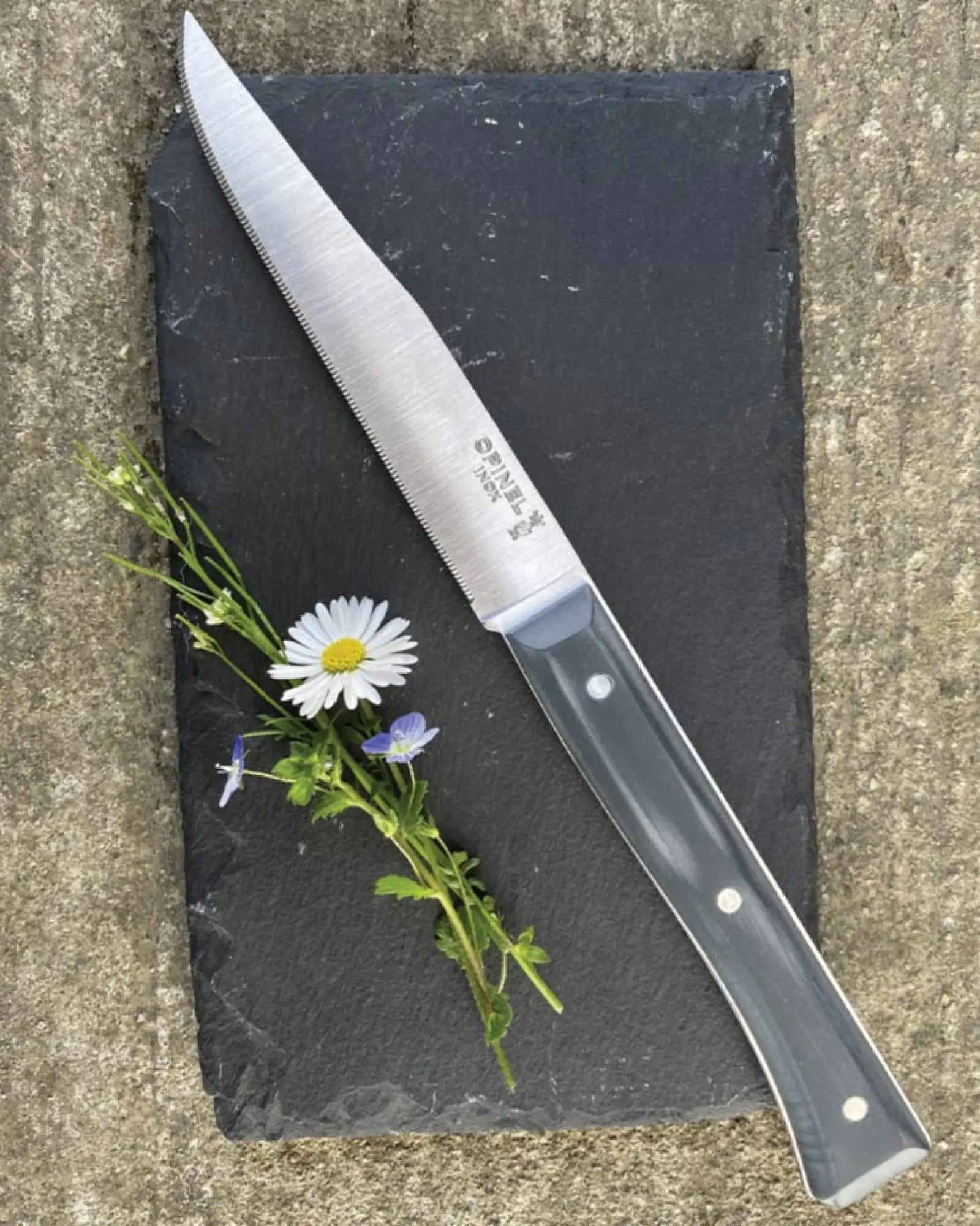 Cofanetto 4 coltelli Opinel Facette da personalizzare - 20