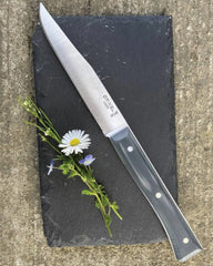 Cofanetto 4 coltelli Opinel Facette da personalizzare - 20
