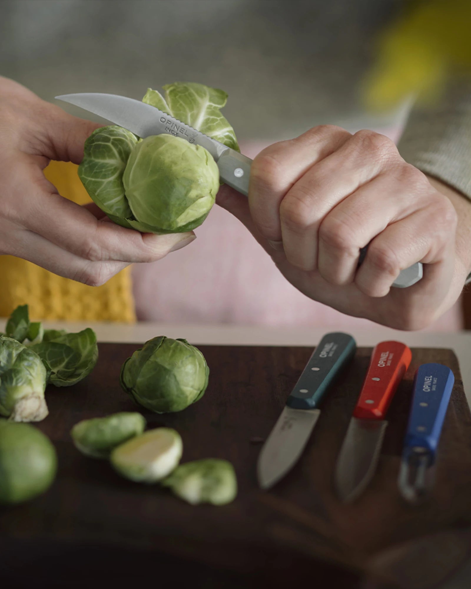 Cofanetto coltelli Opinel Les Essentiels da personalizzare - 3