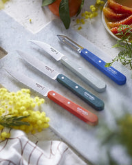Cofanetto coltelli Opinel Les Essentiels da personalizzare - 2