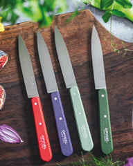 Set 4 coltelli Opinel N°112 acciaio inox da personalizzare - 2