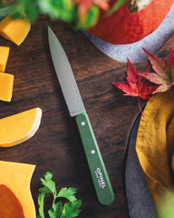 Set 4 coltelli Opinel N°112 acciaio inox da personalizzare - 5
