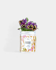 Kit di semi da piantare personalizzabile - 2