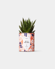 Cactus 100% personalizzabile Diaiwaie - 3