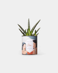 Cactus 100% personalizzabile Diaiwaie - 2
