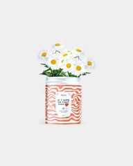 Kit di semi da piantare personalizzabile - 1