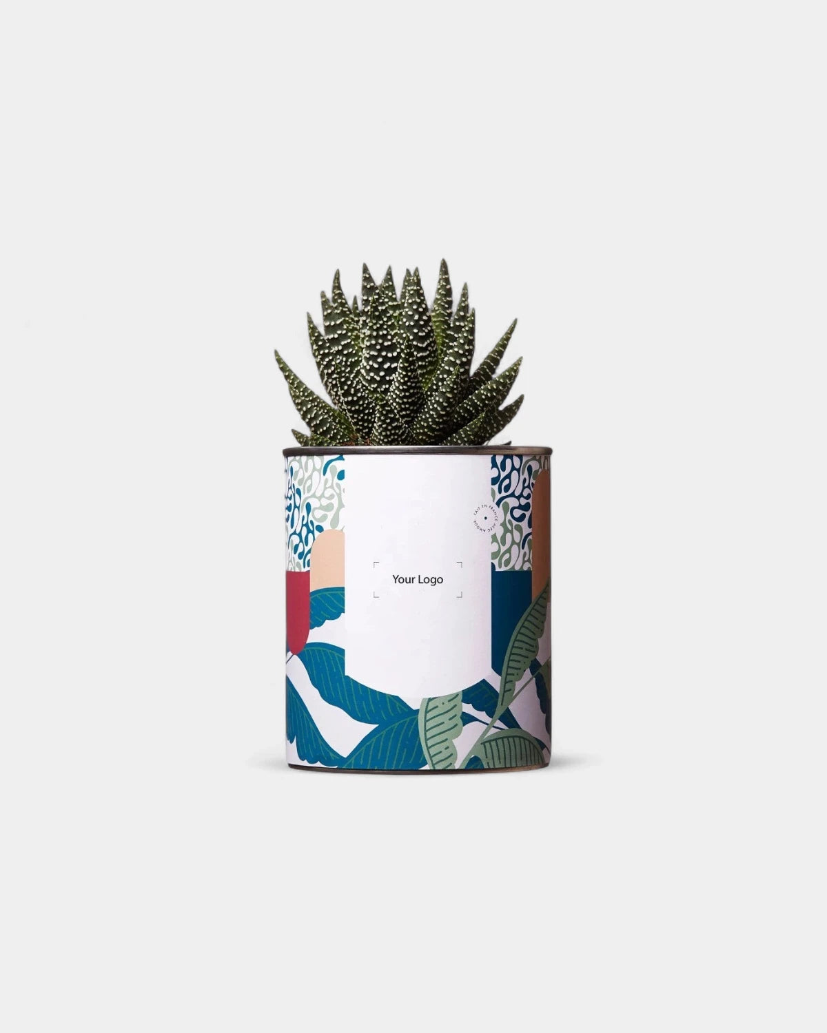 Cactus 100% personalizzabile Diaiwaie - 1