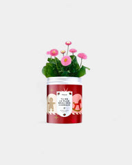 Kit di semi da piantare personalizzabile