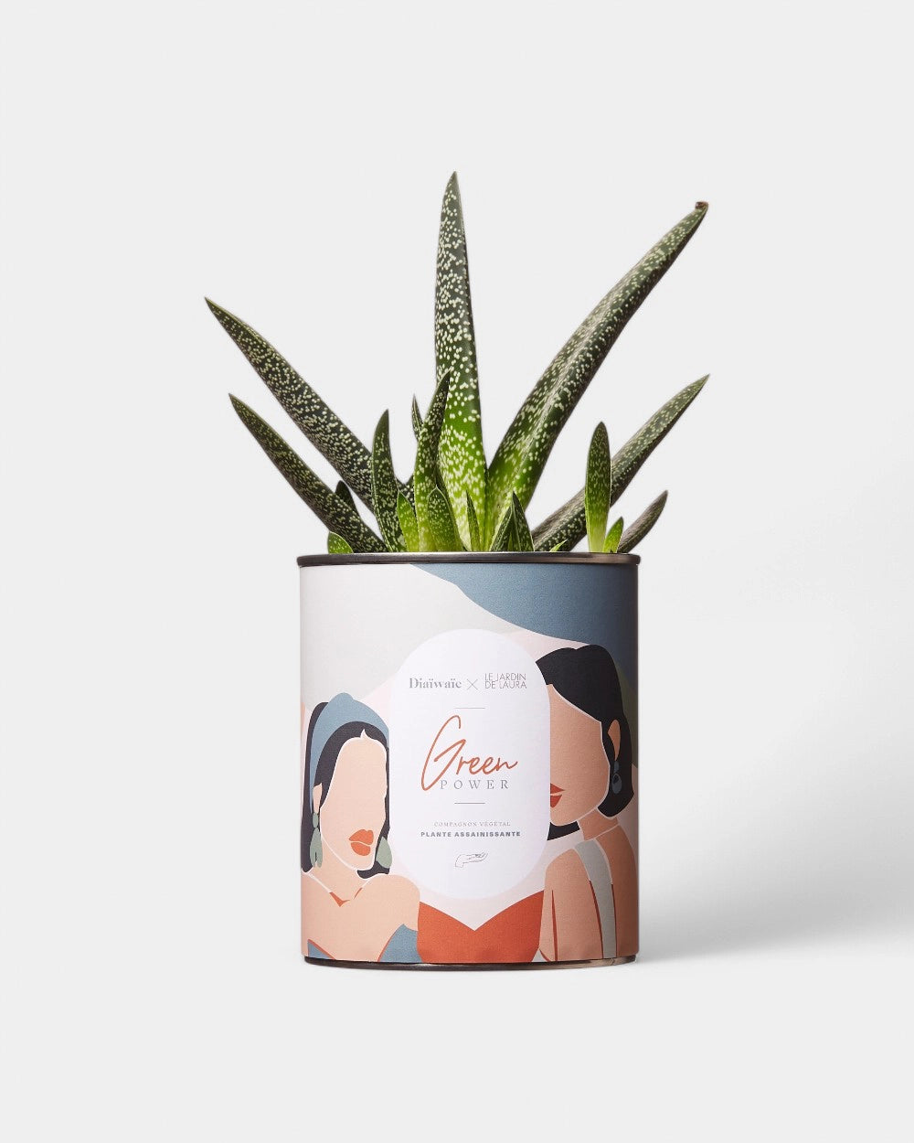 Cactus 100% personalizzabile Diaiwaie - 6