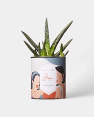 Cactus 100% personalizzabile Diaiwaie - 6
