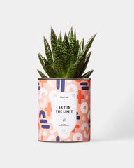 Cactus 100% personalizzabile Diaiwaie - 7