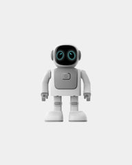 Speaker robot danzante wireless 5h da personalizzare