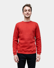 Felpa da uomo Made in France da personalizzare - 23