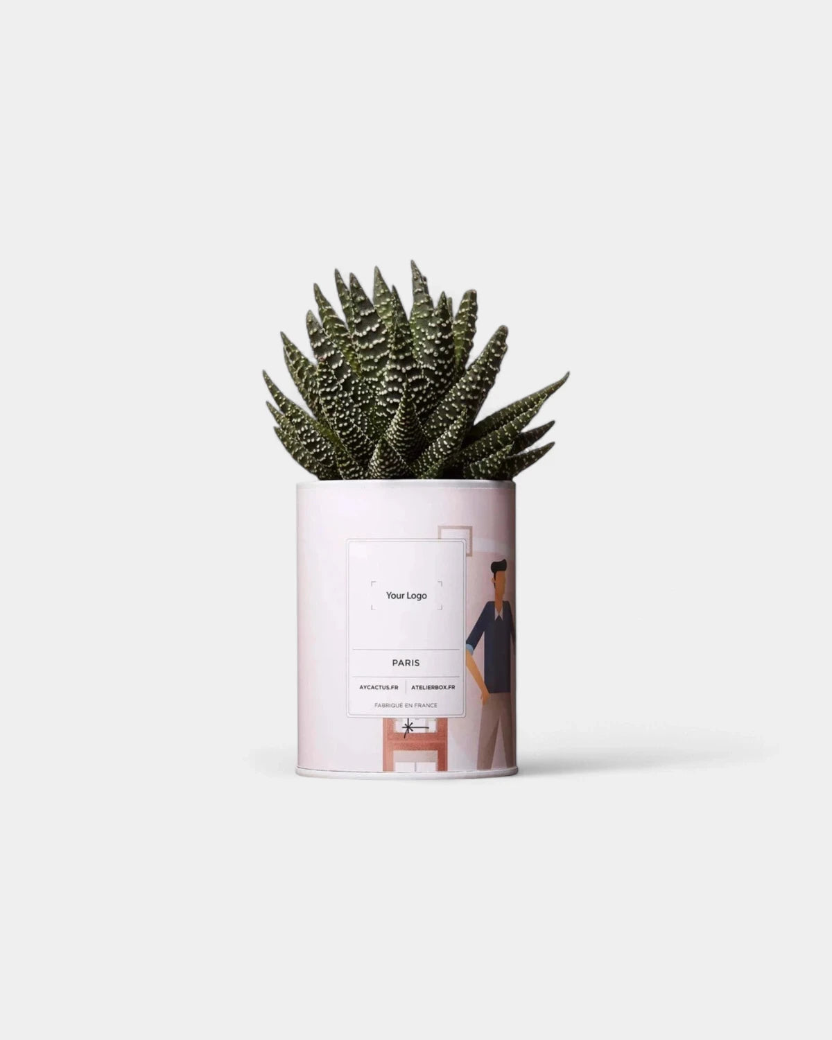 Cactus 100% Personalizzabile - Ay Cactus - 1