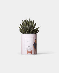 Cactus 100% Personalizzabile - Ay Cactus - 1