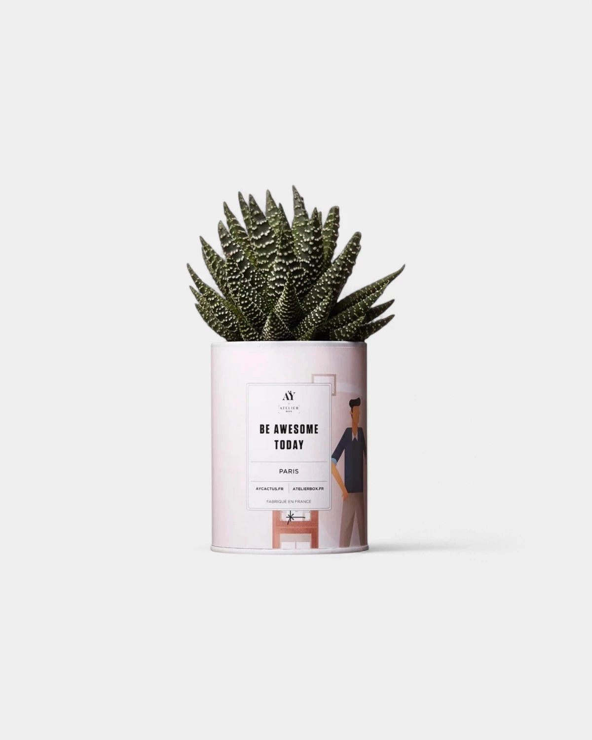 Cactus 100% Personalizzabile - Ay Cactus