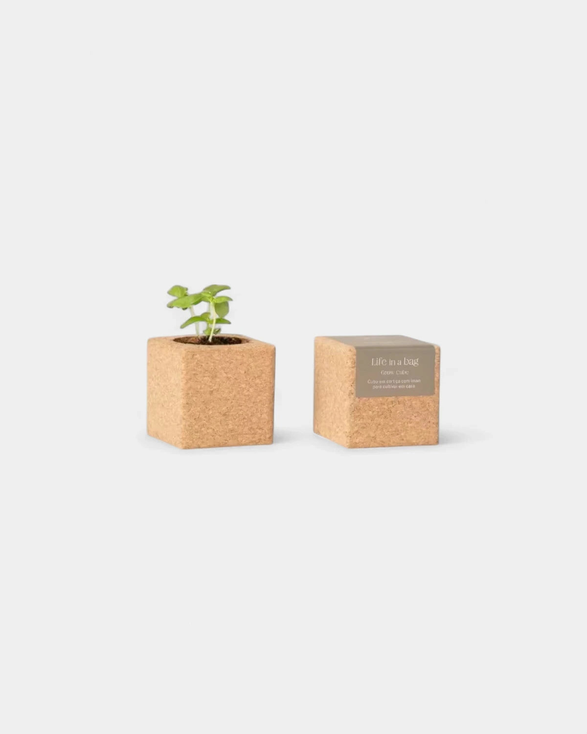 Grow cube personalizzabile