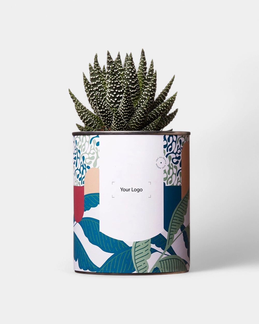 Cactus 100% personalizzabile Diaiwaie - 5
