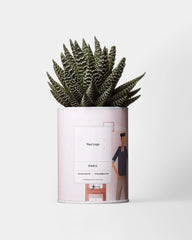 Cactus 100% Personalizzabile - Ay Cactus - 3